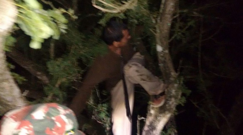 Homem se agarrou em galho de árvore em Miranda (MS) (Foto: PMA/Divulgação)