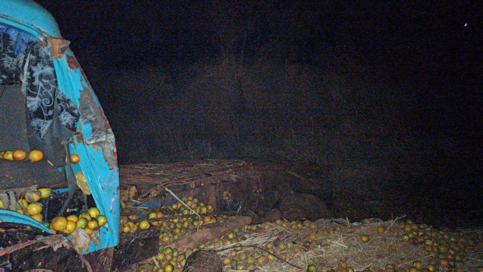 Outro caminhão envolvido na batida estava carregado com laranja  — Foto: Ricardo Freitas/TV TEM 