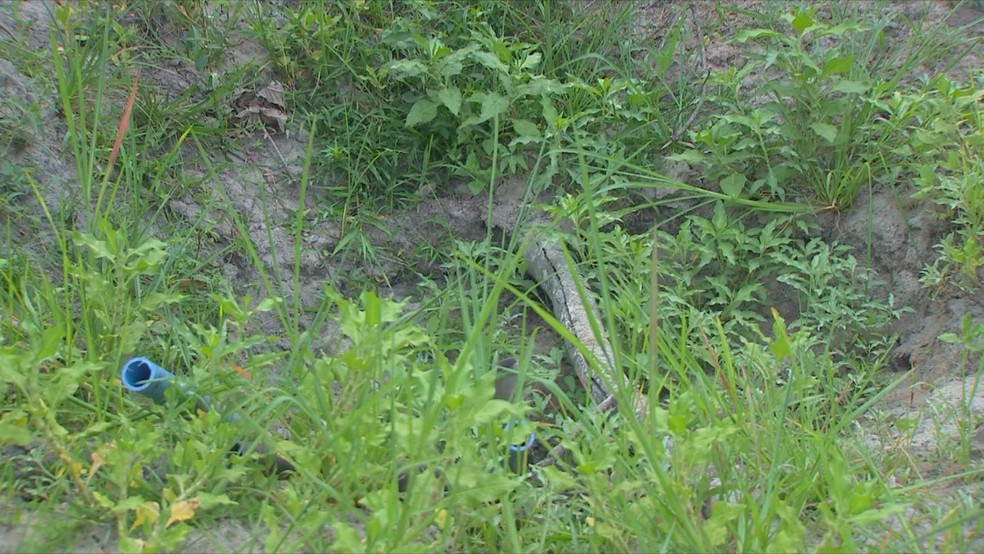 Nascente secou em propriedade rural do interior de São Paulo — Foto: Reprodução/TV TEM 