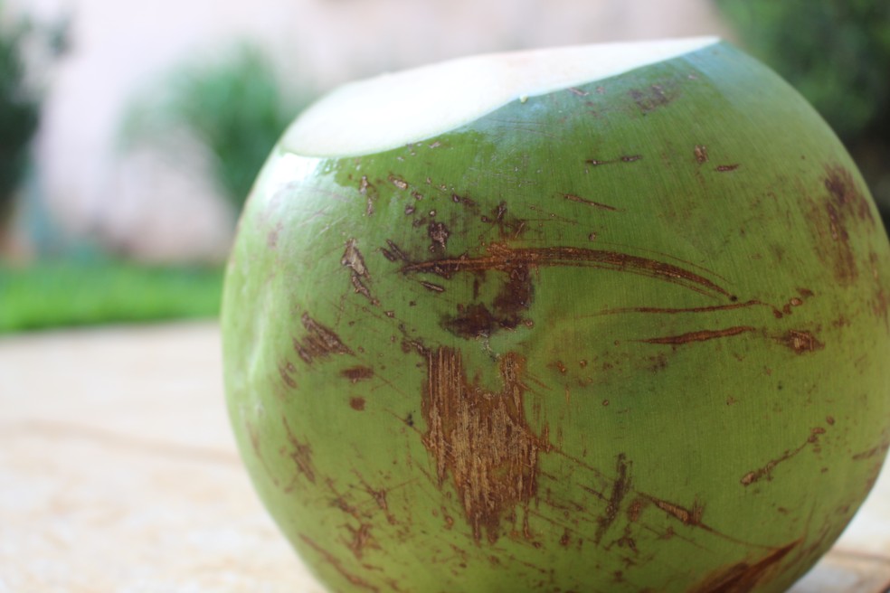 Qualidade da água de coco será padronizada — Foto: Giulia Bucheroni/TG