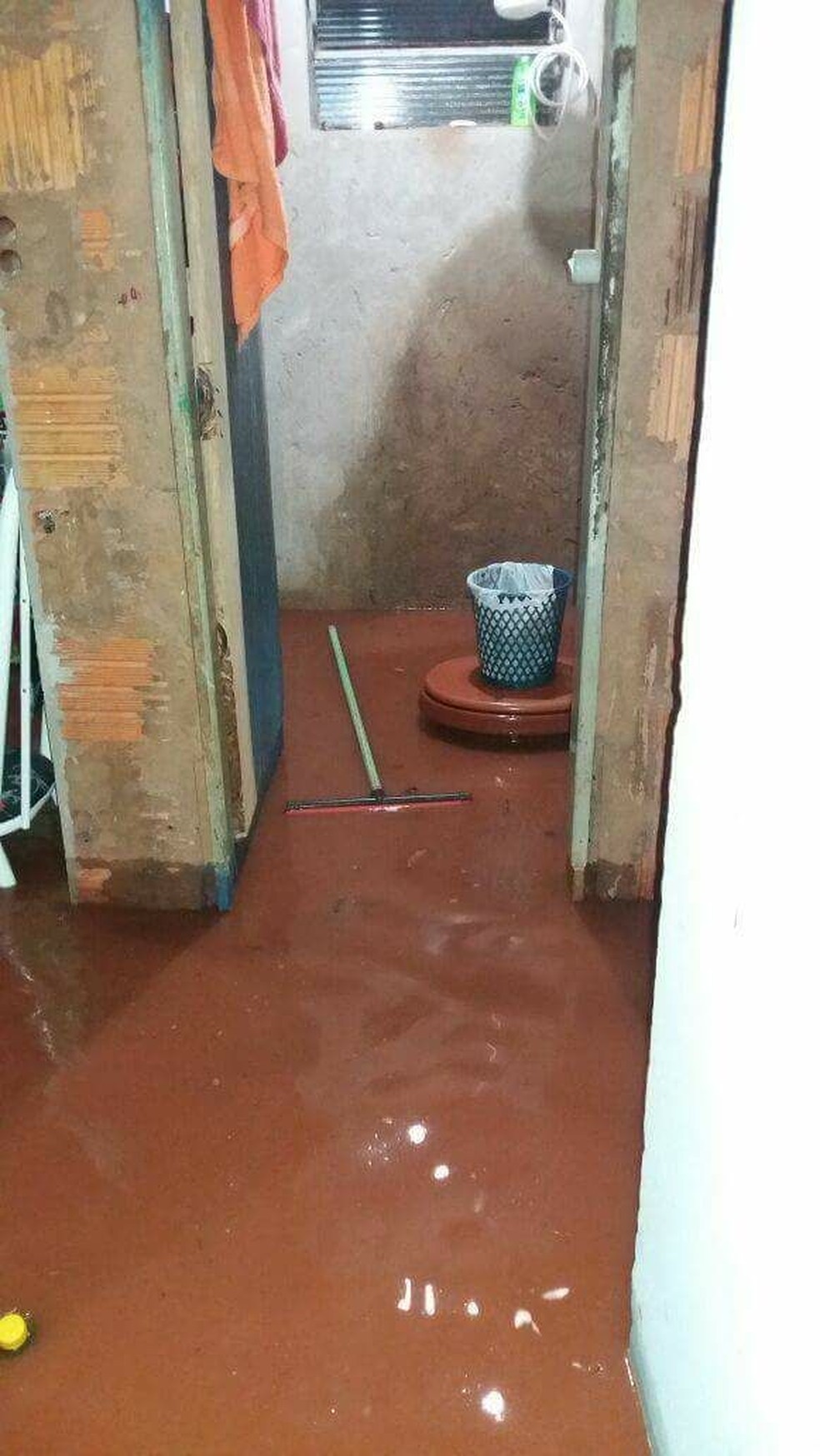 Chuva provocou alagamento de casas em Ouro Verde (Foto: José da Silva/Cedida)