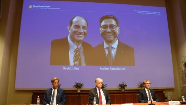 BBC David Julius e Ardem Patapoutia são os ganhadores do Prêmio Nobel de Medicina de 2021 (Foto: Getty Images via BBC)