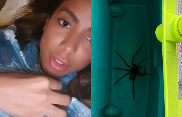Anitta encontra aranha em casa (Foto: Reprodução Instagram)
