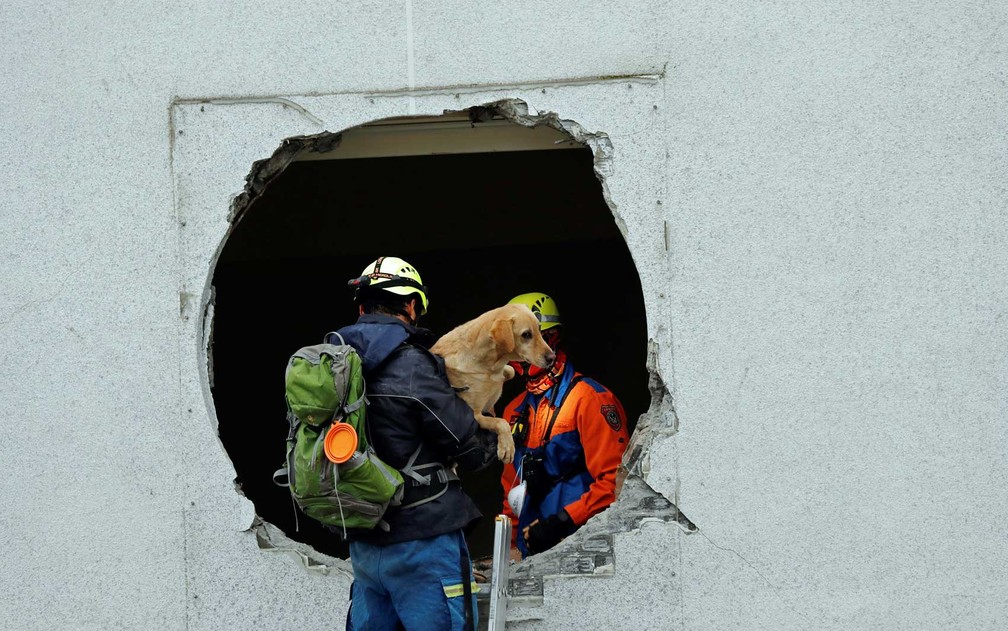 Cão é resgatado de um prédio danificado em Hualien (Foto: Tyrone Siu / Reuters)