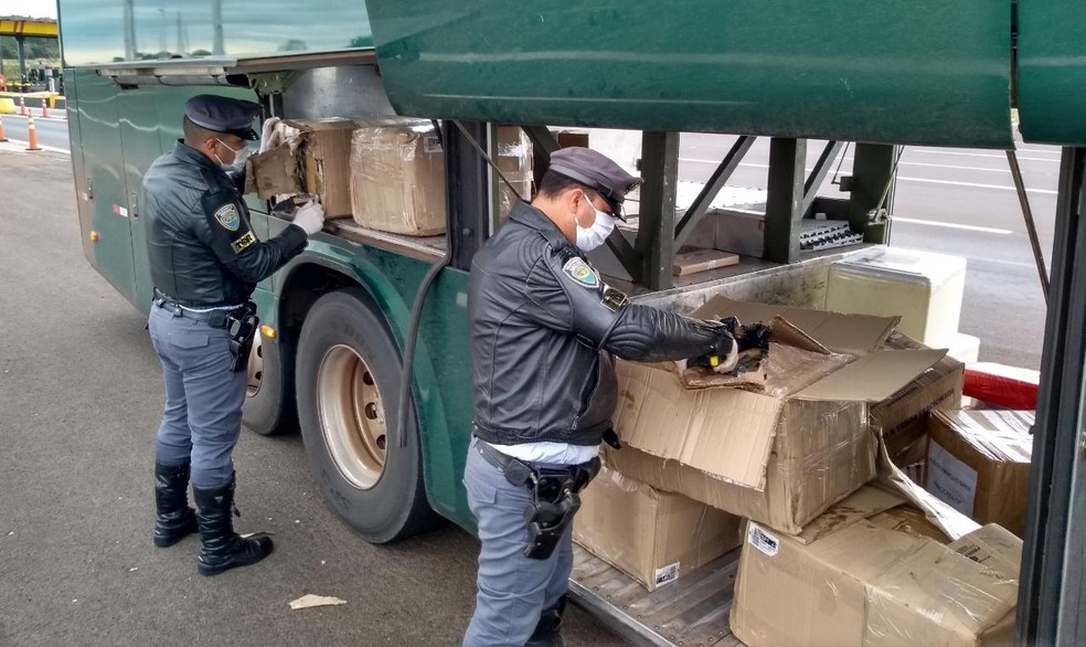 Polícia Rodoviária apreende diversos tijolos de maconha em bagageiro de ônibus em rodovia de Iaras — Foto: Polícia Militar Rodoviária/Divulgação