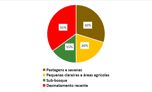 Figura 2. Distribuição de focos de calor na Amazônia, entre janeiro e 13 de outubro de 2020, por tipo de área de ocorrência. (Foto: Elaborado pela TNC a partir de dados do Amazon Dashboard – Global Fires Emission Database)