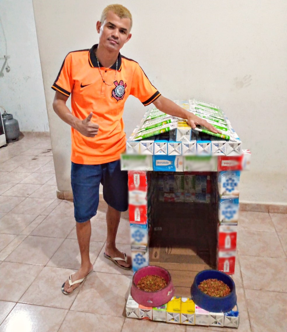 Morador de Laranjal Paulista confecciona casinhas de cachorro com caixinhas de leite para doação — Foto: Arquivo pessoal