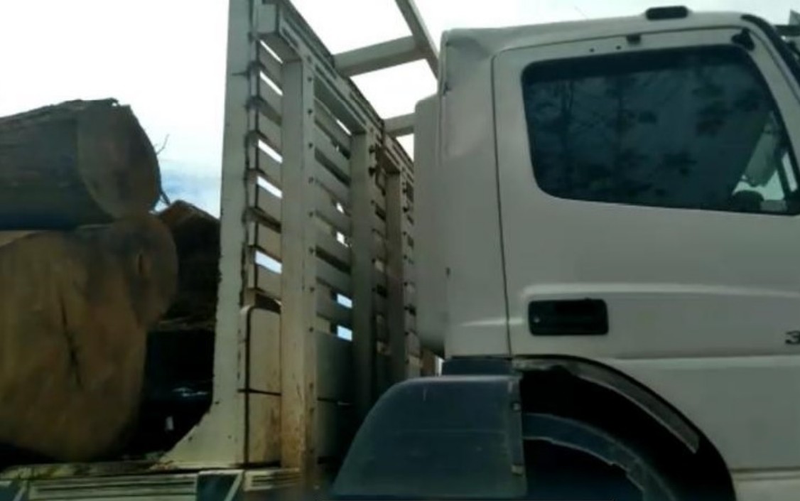 Caminhão usado para transportar madeira extraída de maneira ilegal da reserva — Foto: Reprodução
