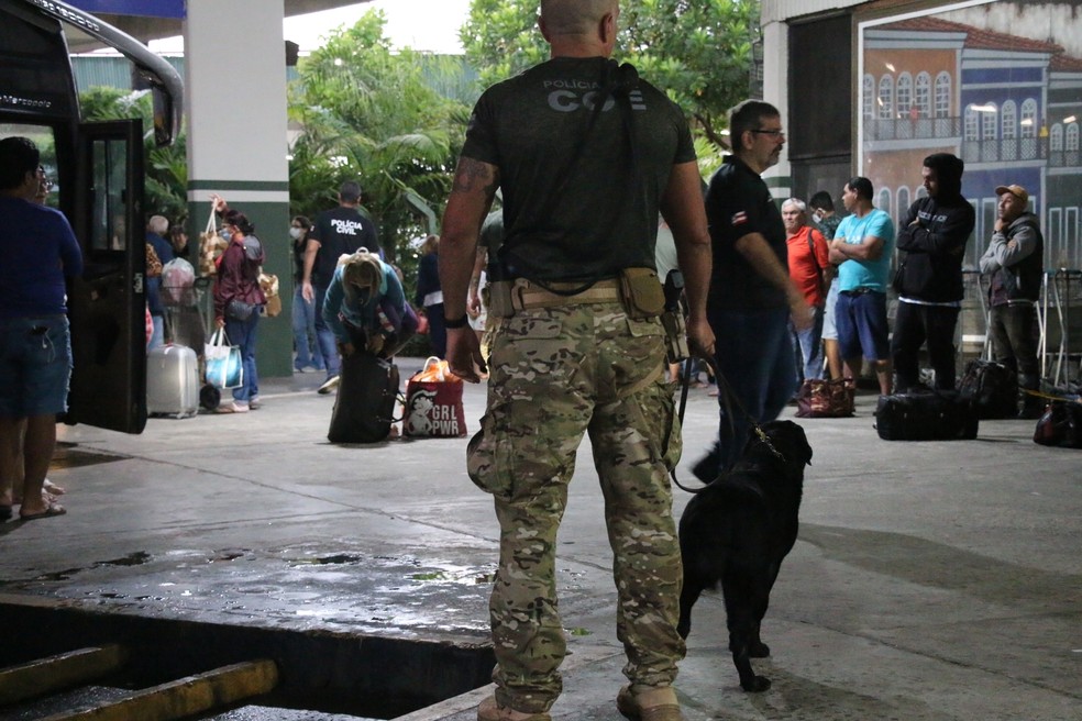 Polícia faz operação na rodoviária de Salvador para evitar entrada de armas e drogas próximo ao carnaval — Foto: Haeckel Dias/Polícia Civil