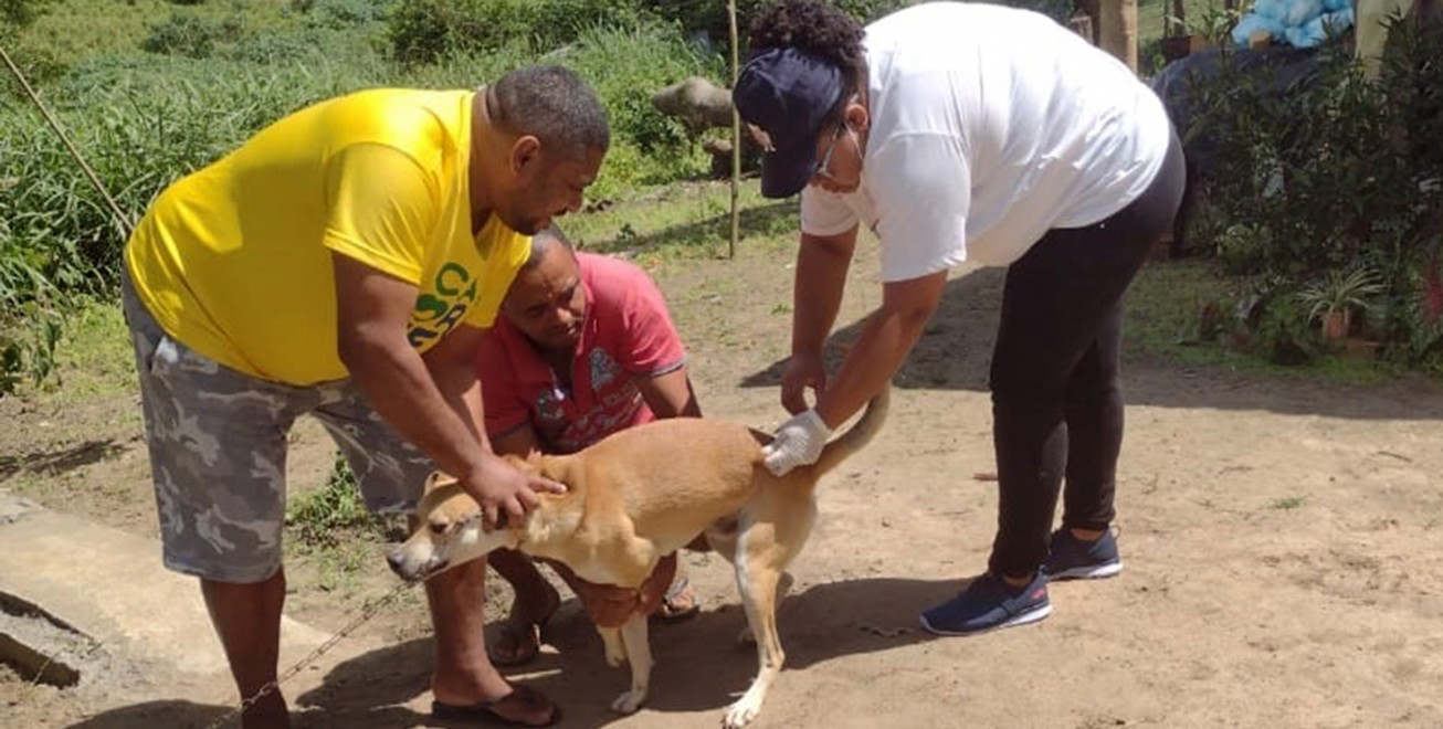 Vacinação contra a raiva para cães e gatos será oferecida em 14 bairros de Feira de Santana 