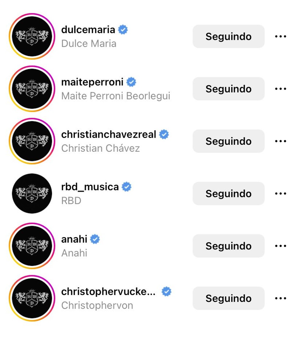 Os cinco integrantes do RBD colocaram a logo da banda na foto do perfil — Foto: Reprodução/Instagram