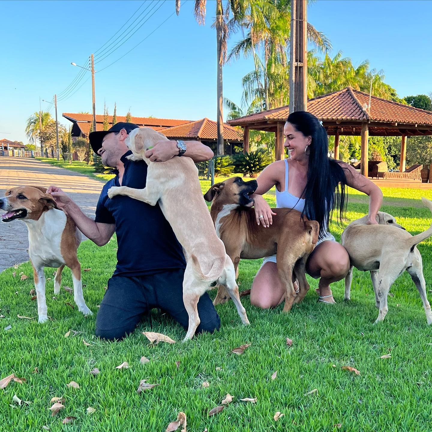 Zezé di Camargo e Graciele Lacerda com os cachorros de estimação (Foto: Instagram/Reprodução)