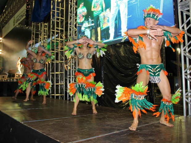 Festa teve diversas apresentações de boi-bumbá (Foto: Gabriel Machado/G1 AM)