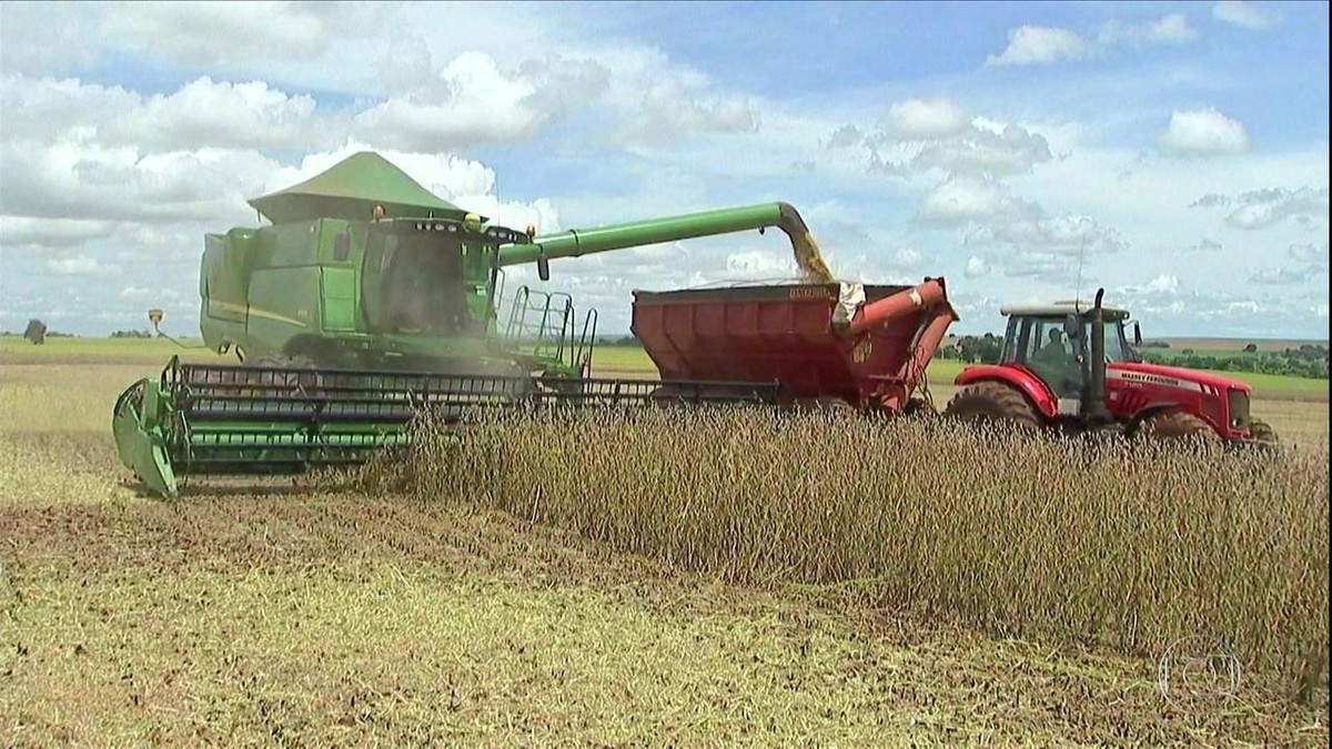 Preço da soja aumenta em Mato Grosso do Sul e anima produtores thumbnail