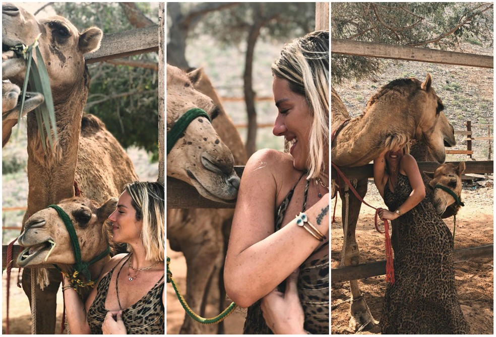 Giovanna Ewbank posa com camelos nas redes sociais — Foto: Reprodução/Instagram