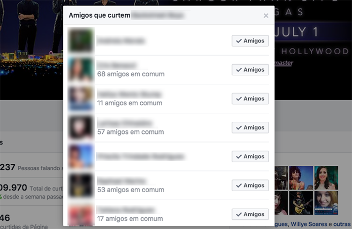Lista de amigos que curtiram uma página no Facebook (Foto: Reprodução/Marvin Costa)