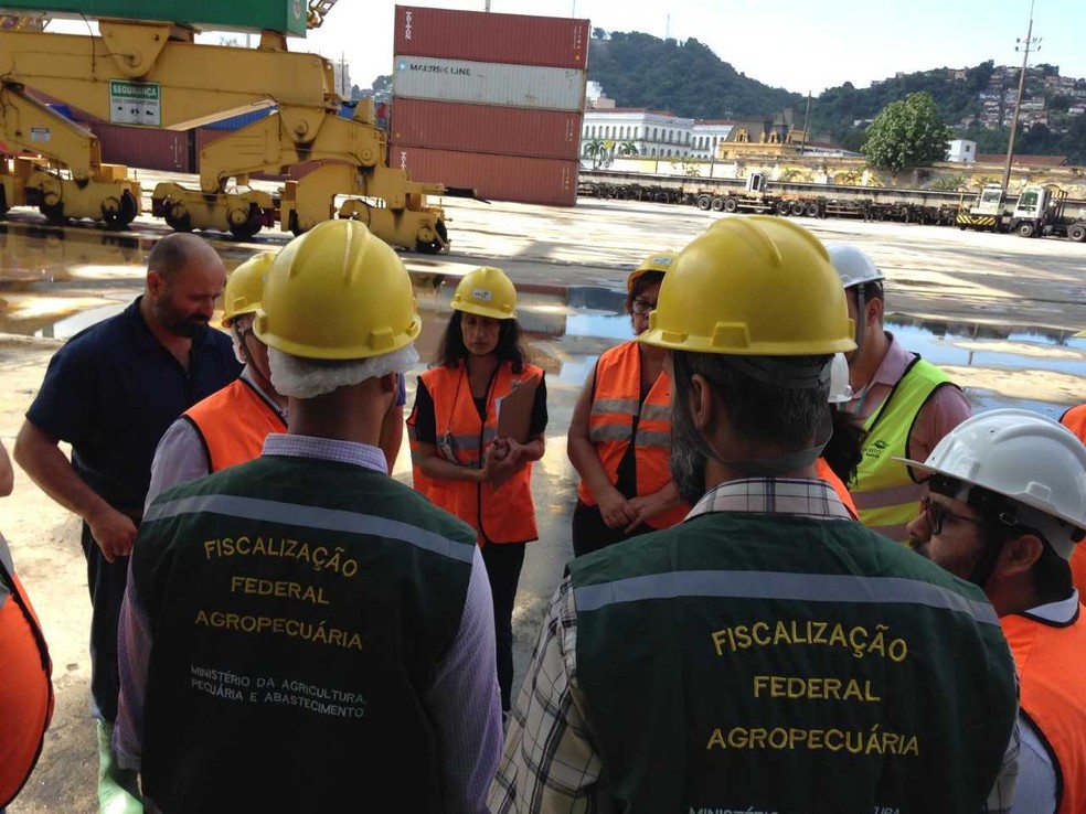 Operação foi realizada sob fiscalização de órgãos federais e municipais (Foto: G1 Santos)