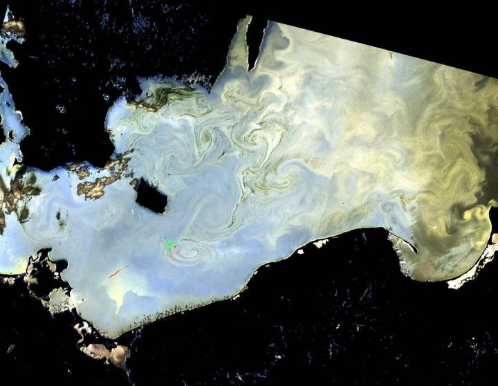 Imagem capturada em junho de 2016 pelo satélite Sentinel-3A da Agência Espacial Europeia (ESA) mostra acúmulo de algas no Mar Báltico (Foto: Agência Espacial Europeia (ESA))
