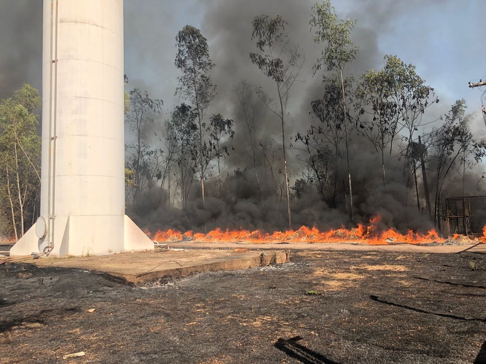 Primeiro incêndio atinge terreno florestal próximo a empresa de reciclagem. (Foto: Aléxia Letícia/G1)