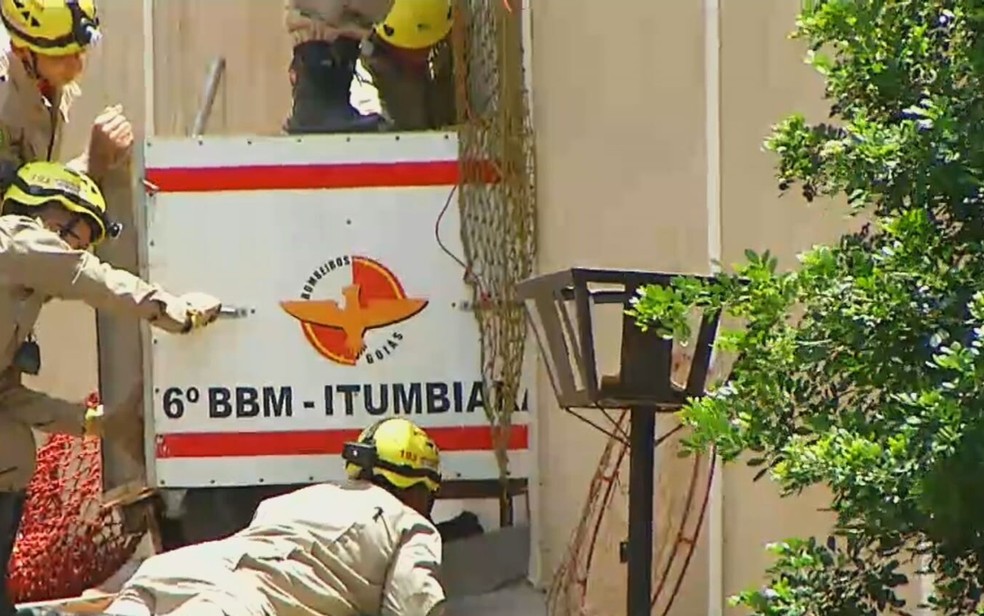 Bombeiros montam força-tarefa para capturar onça dentro de casa em Itumbiara — Foto: Reprodução/TV Anhanguera
