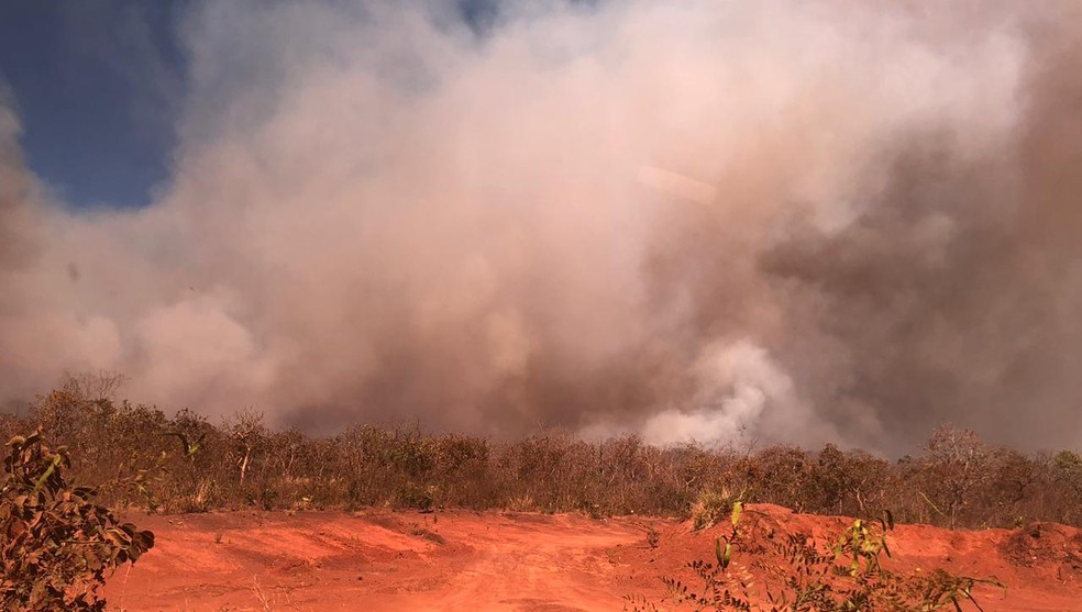 Aldeia Tadarimana teve parte do território destruído pelo fogo — Foto: Divulgação