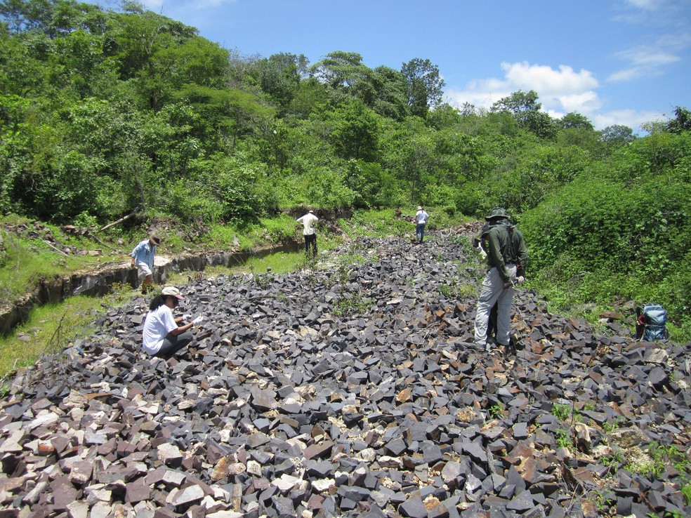 Pesquisadores fazem buscas por fósseis em uma pedreira no Piauí — Foto: Juan Cisneros/Arquivo pessoal