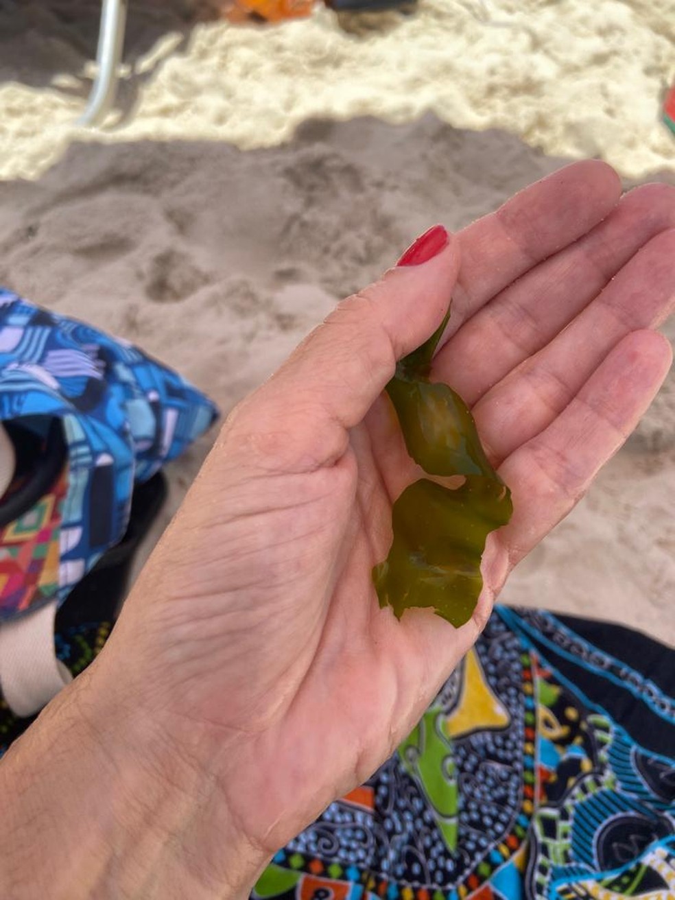 Proliferação de algas chamou a atenção de banhistas no Leme, neste sábado — Foto: Adriana Freitas