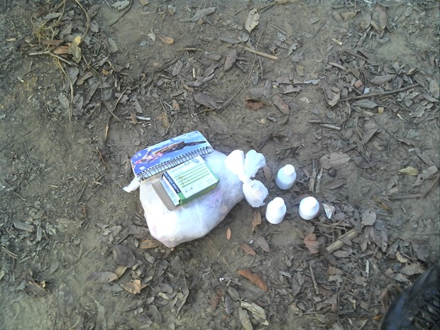 Polícia apreendeu 50 gramas de cocaína com suspeitos (Foto: Jeferson Silva)