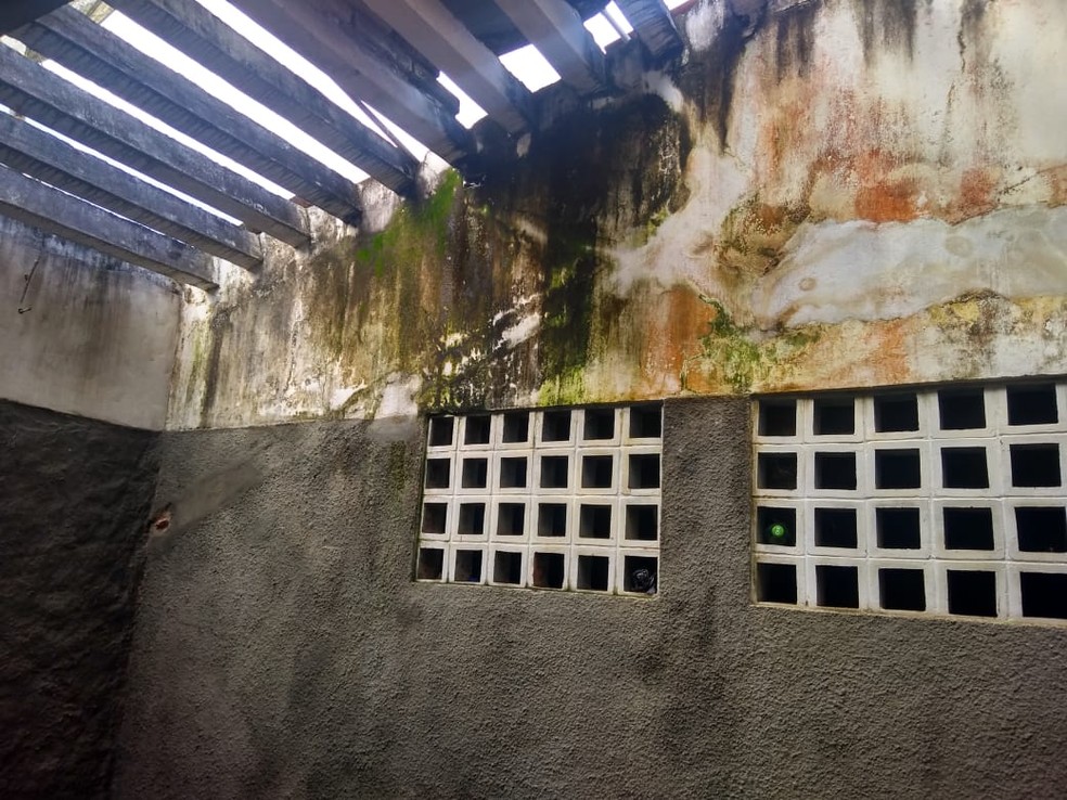 Paredes do prédio de delegacia estão com mofo e rachaduras (Foto: Sindpol/Divulgação)