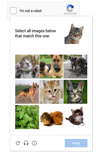 Novo sistema do CAPTCHA vai usar reconhecimento de imagens para identificar humanos e robôs (foto: Reprodução/Google) (Foto: Novo sistema do CAPTCHA vai usar reconhecimento de imagens para identificar humanos e robôs (foto: Reprodução/Google))