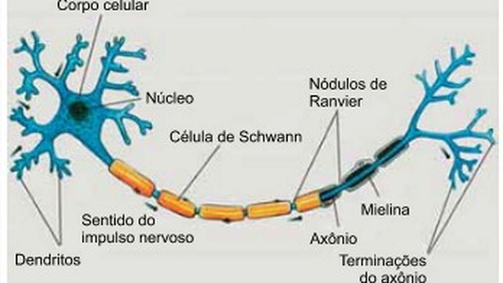 Simulado