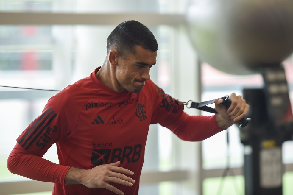 Santos no treino de véspera da decisão da Recopa entre Flamengo e Independiente del Valle — Foto: Marcelo Cortes/Flamengo