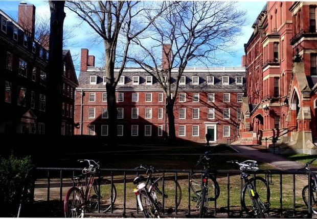 Universidade Harvard (Foto: Barbara Bigarelli)