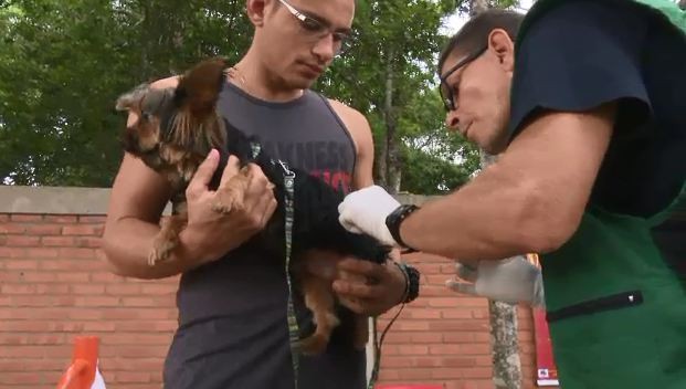 Com pontos fixos, Saúde de Rio Branco faz campanha de vacinação antirrábica para cães e gatos 