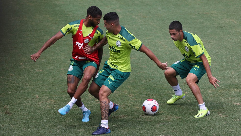Palmeiras se reapresenta e tem desfalques em treino na Academia