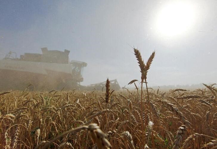 Colheitadeira em campo de trigo em Sredniy, na Rússia  (Foto: REUTERS/Eduard Korniyenko)
