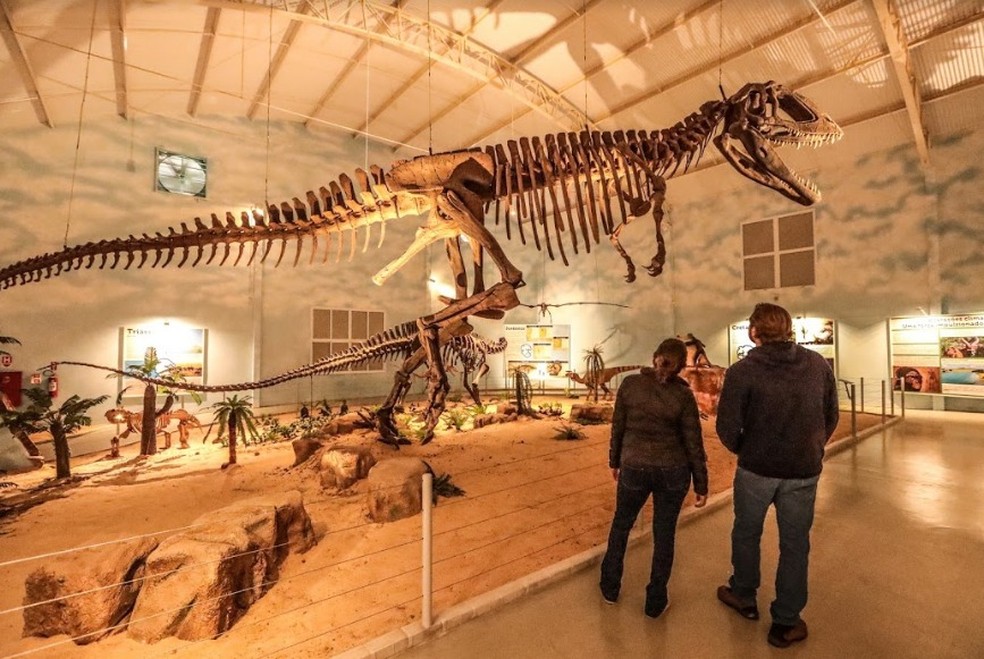 Zoológico de Itatiba inaugura o maior museu de história natural da América Latina — Foto: Divulgação/Zooparque Itatiba