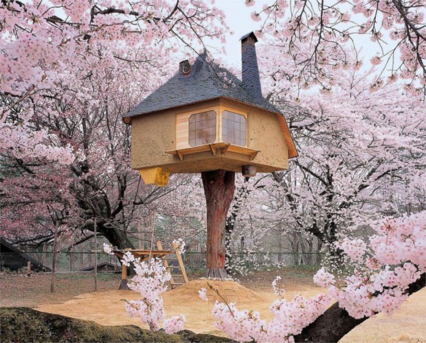 As casas na árvore mais lindas do mundo (Foto: Reprodução)