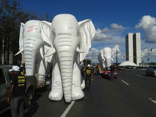 Elefantes infláveis em marcha de policiais federais por reajuste salarial na Esplanada dos Ministe´rios na tarde desta quarta-feira (12) (Foto: Lucas Nanini/G1)