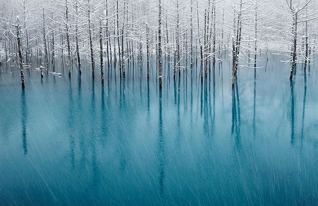 Lago congelado (Foto: /Reprodul)