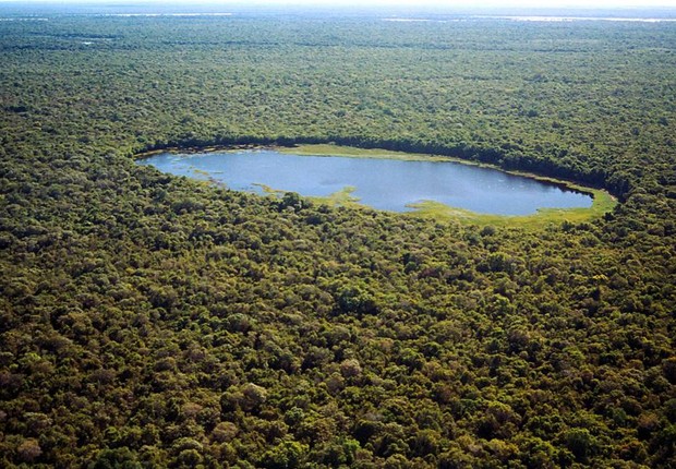 Amazônia ; floresta tropical ; reserva indÃ­gena ; sustentabilidade ; desmatamento ; (Foto: Marco Di Pietro/Arquivo/SECOM-TO)