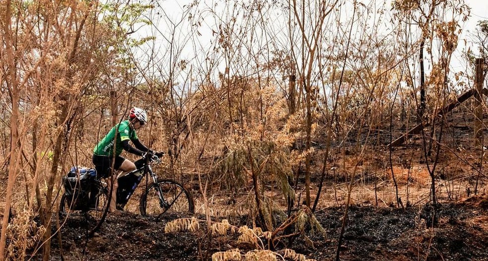 Ciclista da expedição científica do projeto TransCerrado percorre área quimada — Foto: Janine Moraes / Transcerrado 