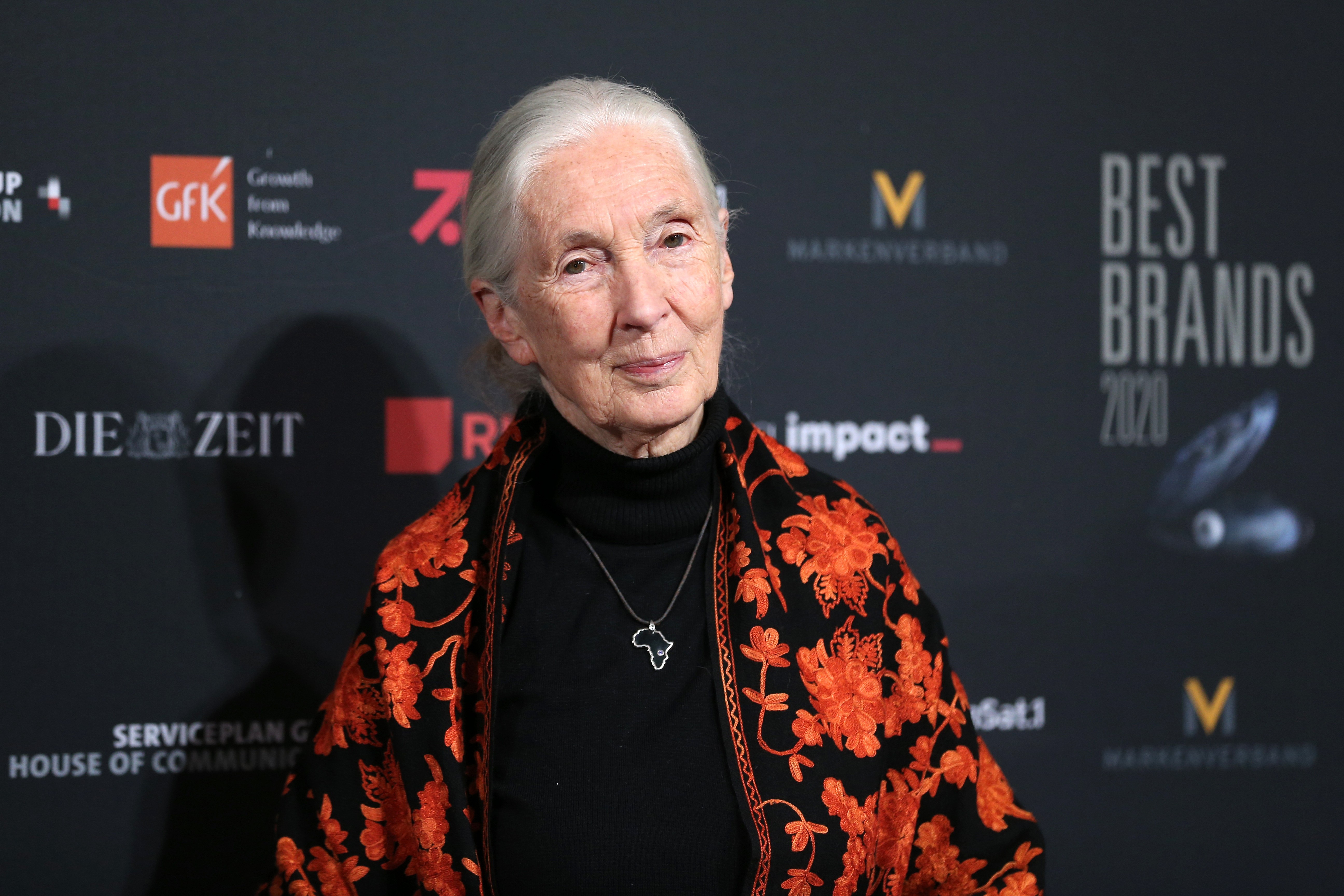 Jane Goodall (Foto: Getty Images)