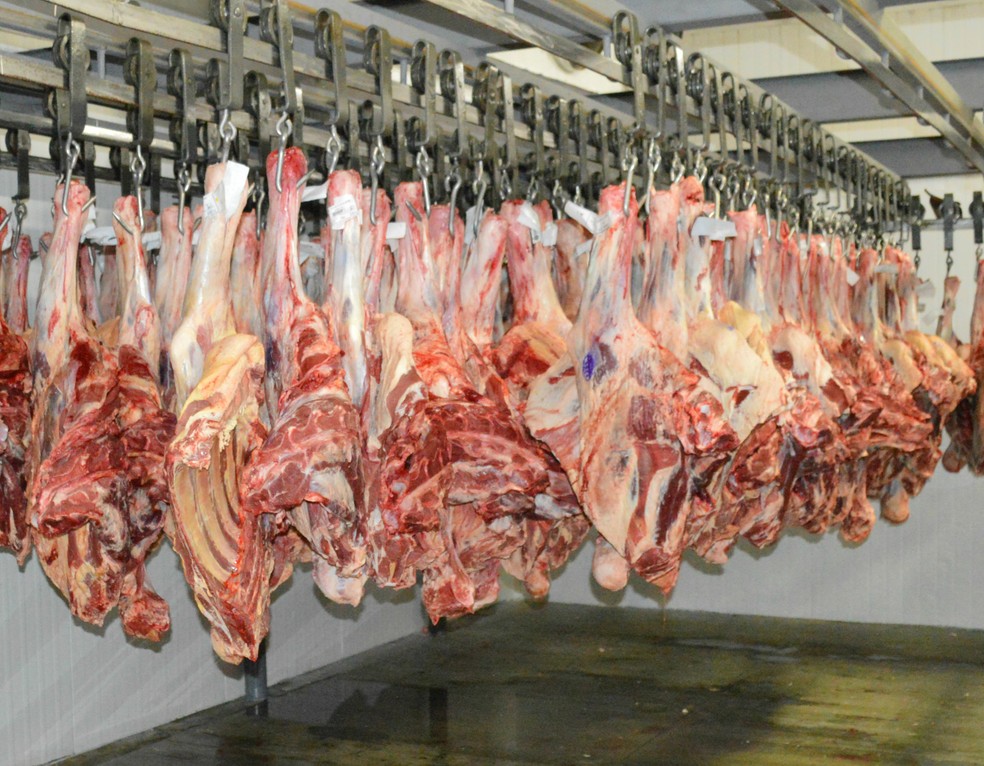 Embarques de carne bovina em agosto somaram 150,6 mil toneladas e receitas de US$ 621,06 milhões — Foto: Anderson Viegas/G1 MS