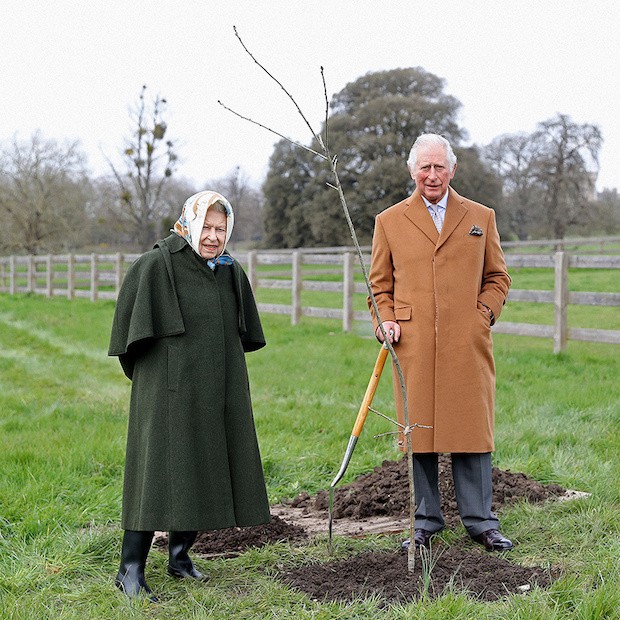 Jubileu de Platina: rainha Elizabeth II convocou todos os cidadãos britânicos a plantarem árvores pelo país.  (Foto: Queen's Green Canopy / Reprodução)