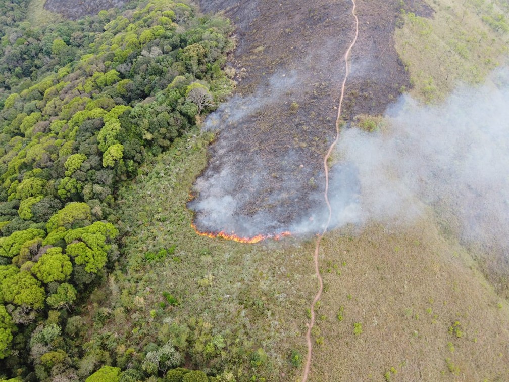 Área de mata é atingida por queimada em Várzea Paulista — Foto: Divulgação/Guarda Civil Municipal