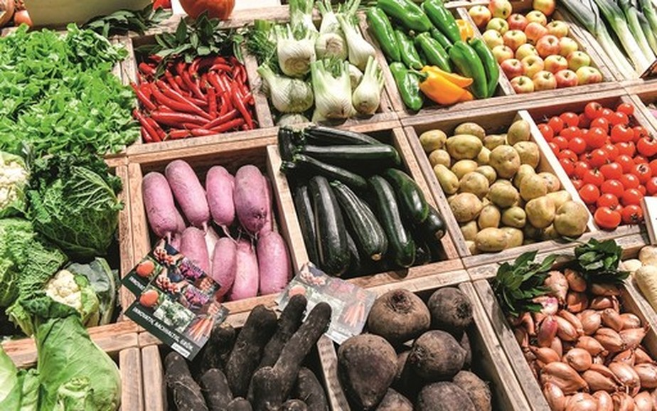 Preços de alimentos bateram recorde em 2022, diz agência da ONU