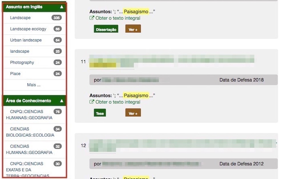 Filtros para assuntos em inglês e área de conhecimento no site da Biblioteca de Teses e Dissertações — Foto: Reprodução/Marvin Costa