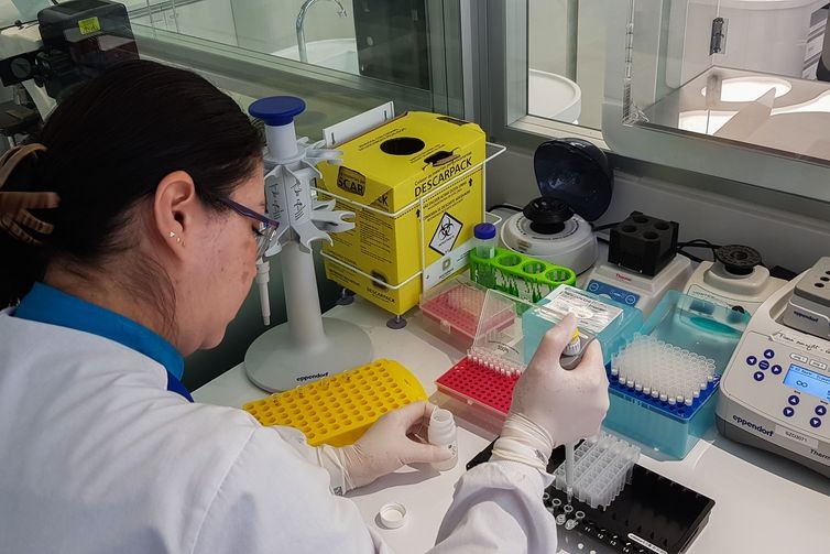 Procedimento de extração de DNA  (Foto: Camila Boehm/Agência Brasil)