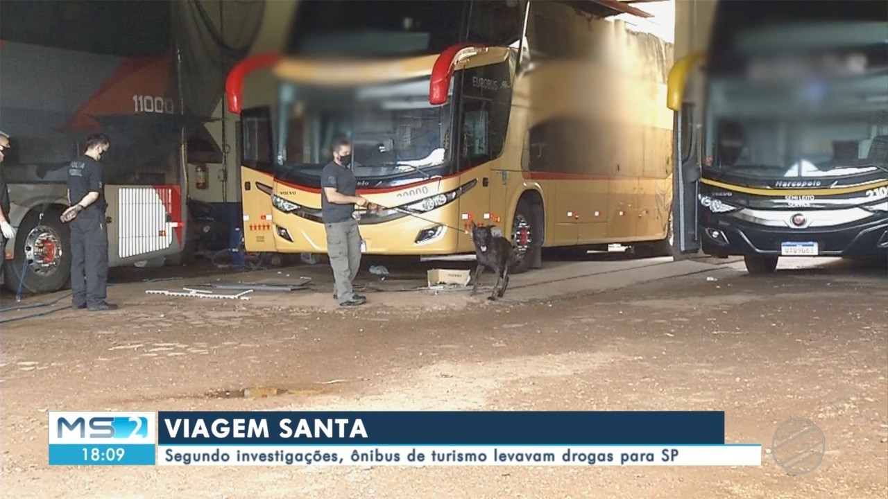 Segundo investigações, ônibus de turismo levavam drogas para SP